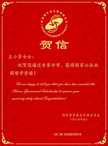 王小芳